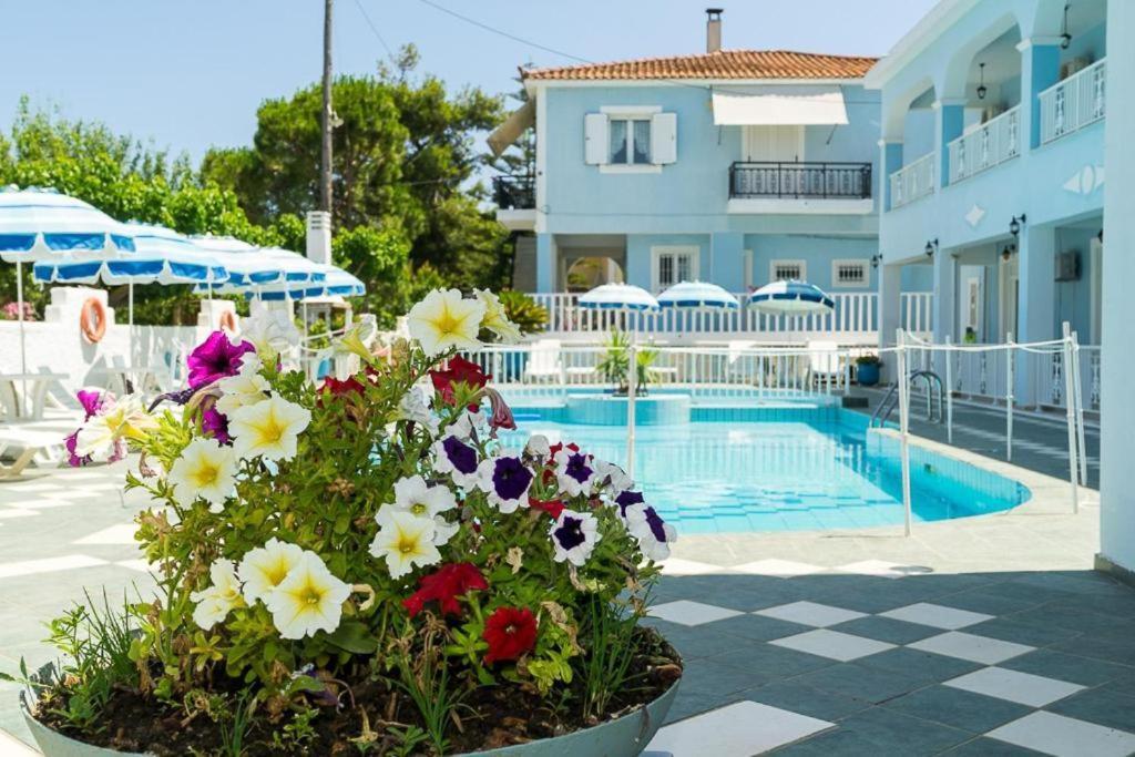 Anna'S Studios & Apartments Zakynthos Exterior photo